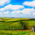 She Doesn’t Mind at All