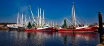 Shrimp Boats