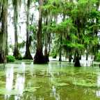 Summertime Joys: A Prelude to Some of my Favorite Memories