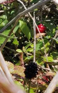 received_235094967575529