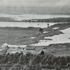 Carpooling with Carlos, Ch. 11