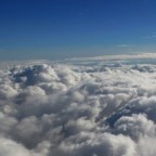 In memoriam of Mr. Frank Cali from Author Steve Achord